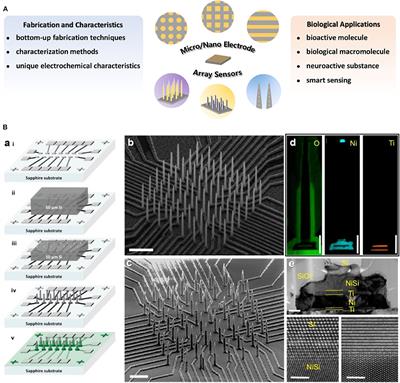 Micro/Nano Electrode Array Sensors: Advances in Fabrication and Emerging Applications in Bioanalysis